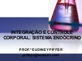 Sistema Endocrino