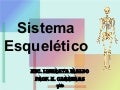 Sistema EsqueléTico