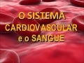 Sistema cardiovascular e o sangue