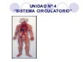 Sistema Circulatorio