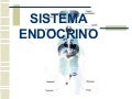 Sistemaendocrino 2008.11.11