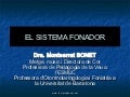 Sistema Fonador
