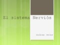 Sistema nerviós