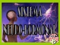 Sistema neurohormonal