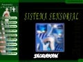 Sistema sensorial