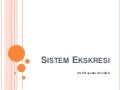 Sistem ekskresi2