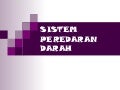 Sistem peredaran darah