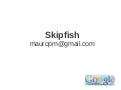 Skipfish 