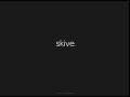 Skive Digital Trends 2012