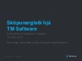 Sköpunargleði hjá TM Software 