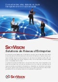 SkyVision Solutions de Réseau d’Entreprise