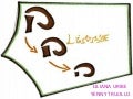 Slidecast LINAYE