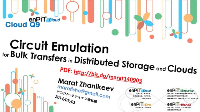 Circuit Emulation for Bulk Transfer...