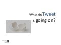 What the Tweet is going on?