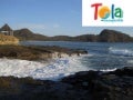 Tola
