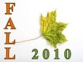 Fall 2010 Trends 