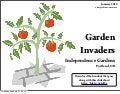 Garden Invaders - Recognizing and Removing Invasive Plants