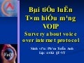 Slide Voip