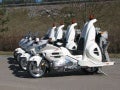 Goldwing Retriever 