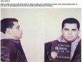 Children of the Mafia