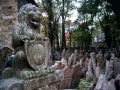 Cities Of The Dead