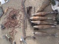 Taliban&rsquo;s Weapons