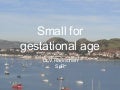 Small For Gestational Age