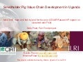 Smallholder pig value chain development in Uganda 