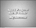 Small Project? Small Team? Big Success!