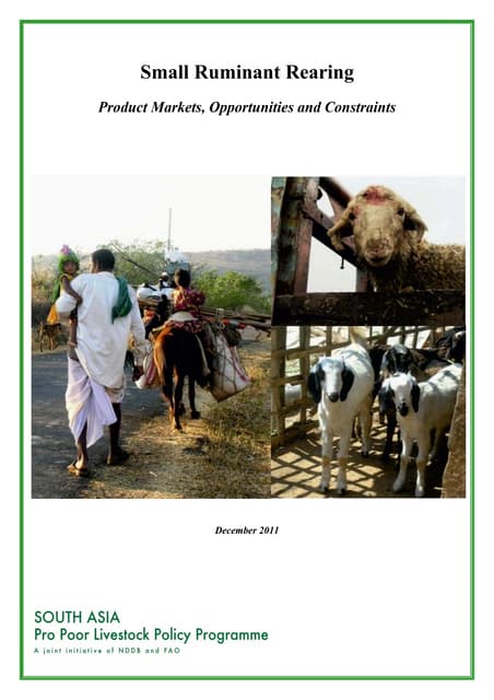 Small Ruminant Rearing – Product Markets, Opportunities and Constraints