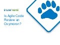 SmartBear Software Webinar:  Is Agile Code Review an Oxymoron?  An Expert Roundtable 