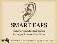 Smart Ears: Social Media Monitoring for Strategic Business Decisions