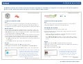 Facebook Offers - Success Stories