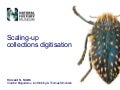 Scaling-up collections digitisation