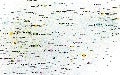 Vortrag: Social Media und Soziale Bewegungen