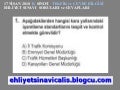 ehliyet sınavı soruları 17 nisan