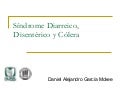 SíNdrome Diarreico, DisentéRico Y CóLera