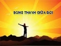 Sống thánh giữa đời