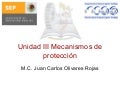 MECANISMO DE PROTECCION