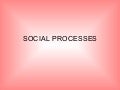 Social Processes