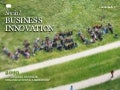 Social business - innovation, organization and leadership