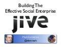 Building the Effective Social Enterprise