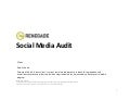 Renegade - Social Media Audit 