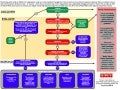 Infographic: The Social Media Crisis Communications Decision Tree 