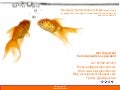 Social Media For Internal Comms Channelship Webinar March 31 2010