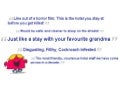 Steamboat Chamber Social Media Monitoring Part 2