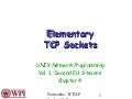Socket System Calls