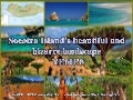 SOCOTRA Island - YEMEN