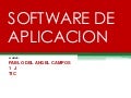 Software de-aplicacion-pablo