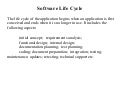 Software Development Life Cycle Testingtypes